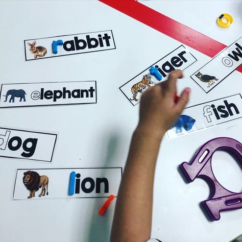 Beginning Sounds Alphabet Cards | Animals Theme