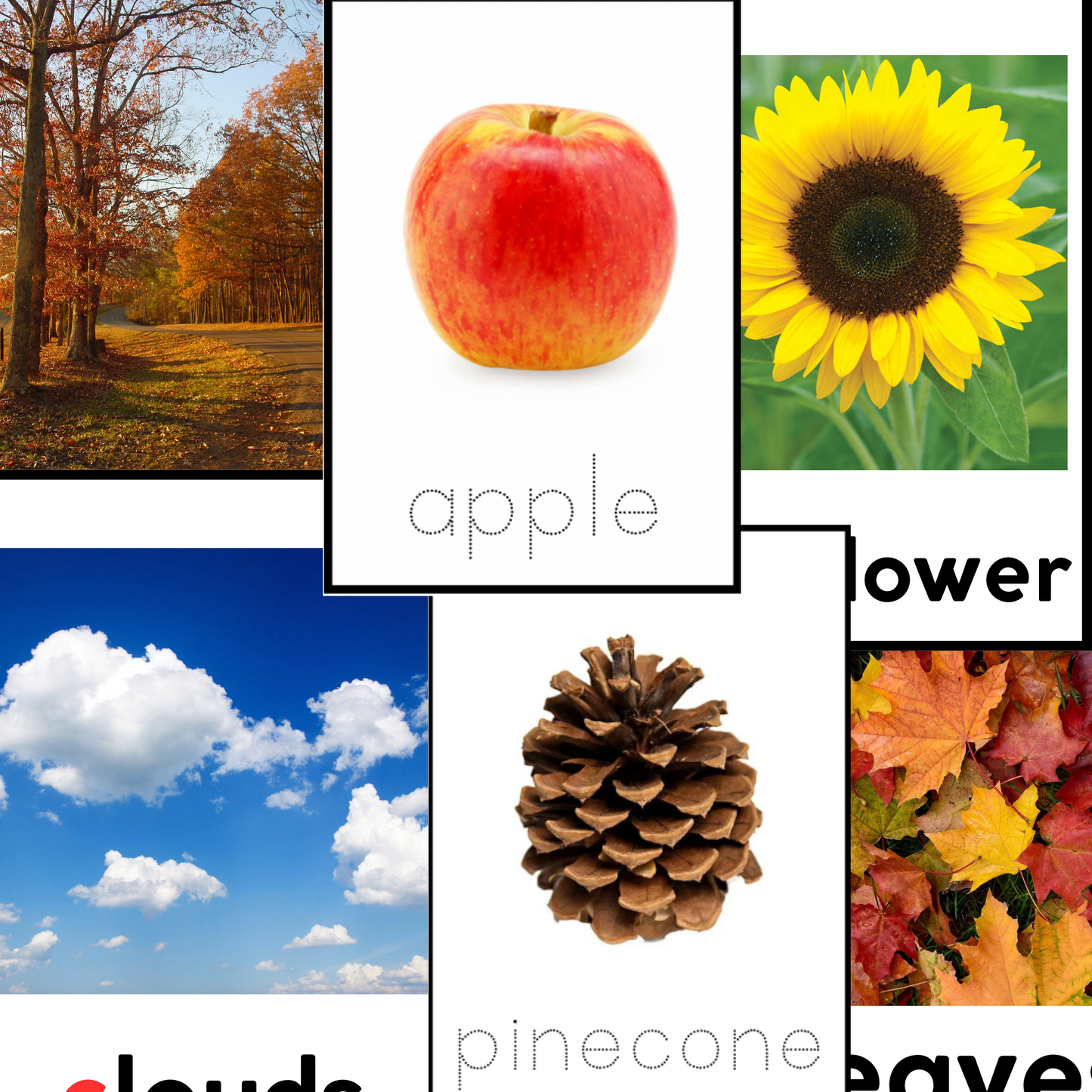 Fall Vocabulary Flashcards Ring&Full Size | ELA and Tracing Cards