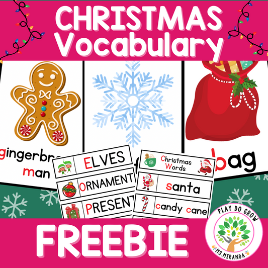 Christmas Vocabulary Word Cards | FREE Literacy Resource. English Version