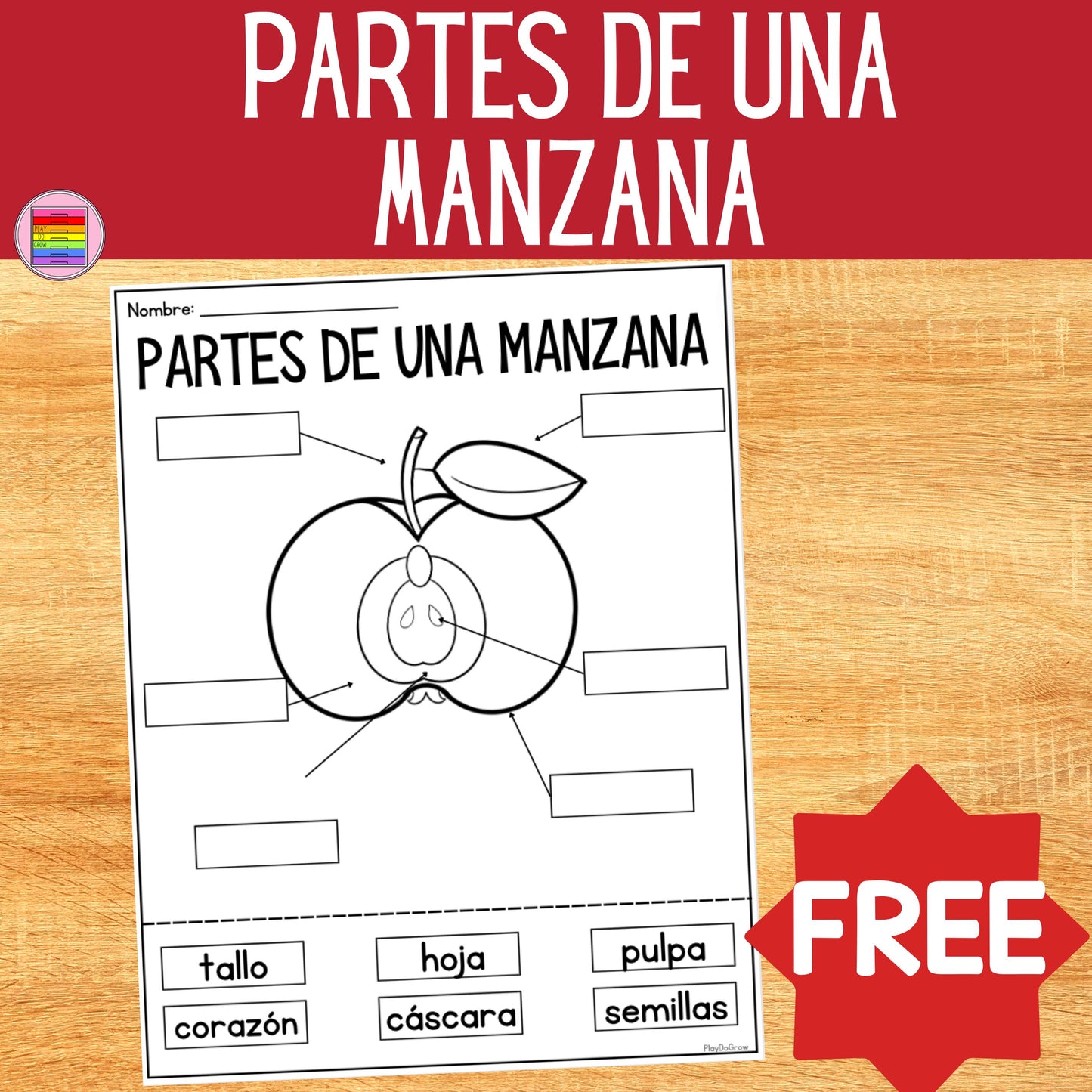 GRATIS Partes de una Manzana Hoja de Trabajo | Recurso Primaria