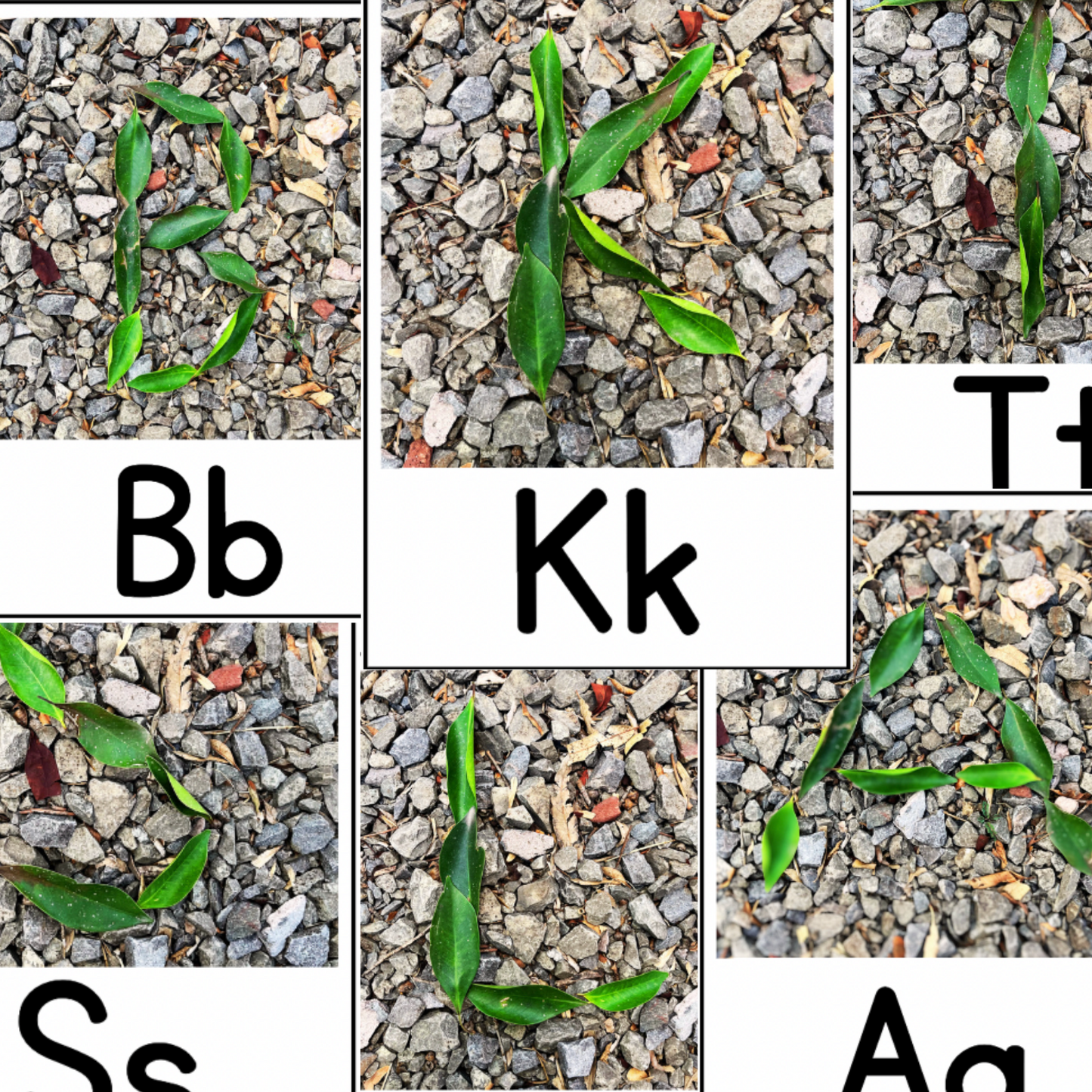 Alfabeto Naturaleza Letras Mayúsculas. Fotos reales | Literatura y Vocabulario